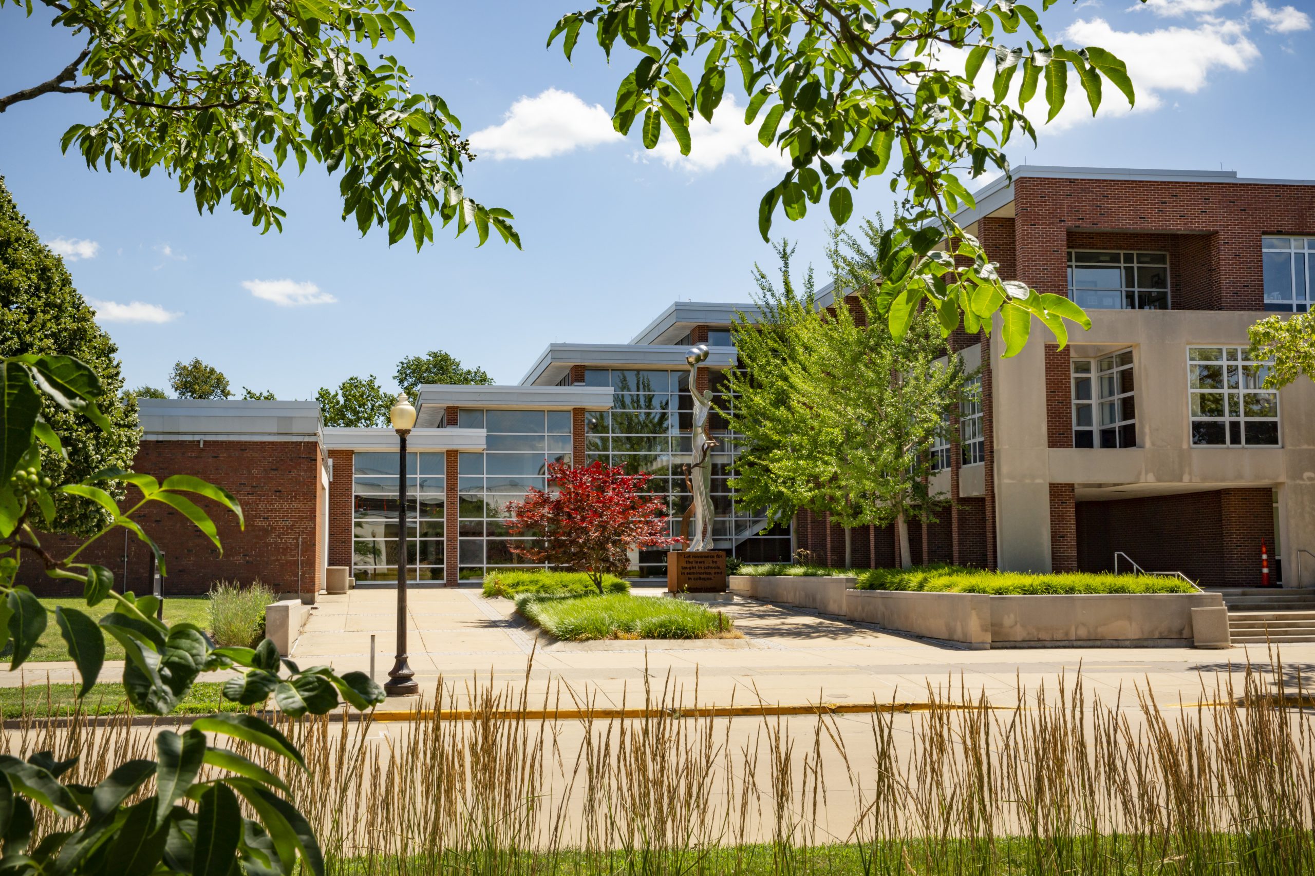 College of Law building viewed through nearby grasses, plants, trees