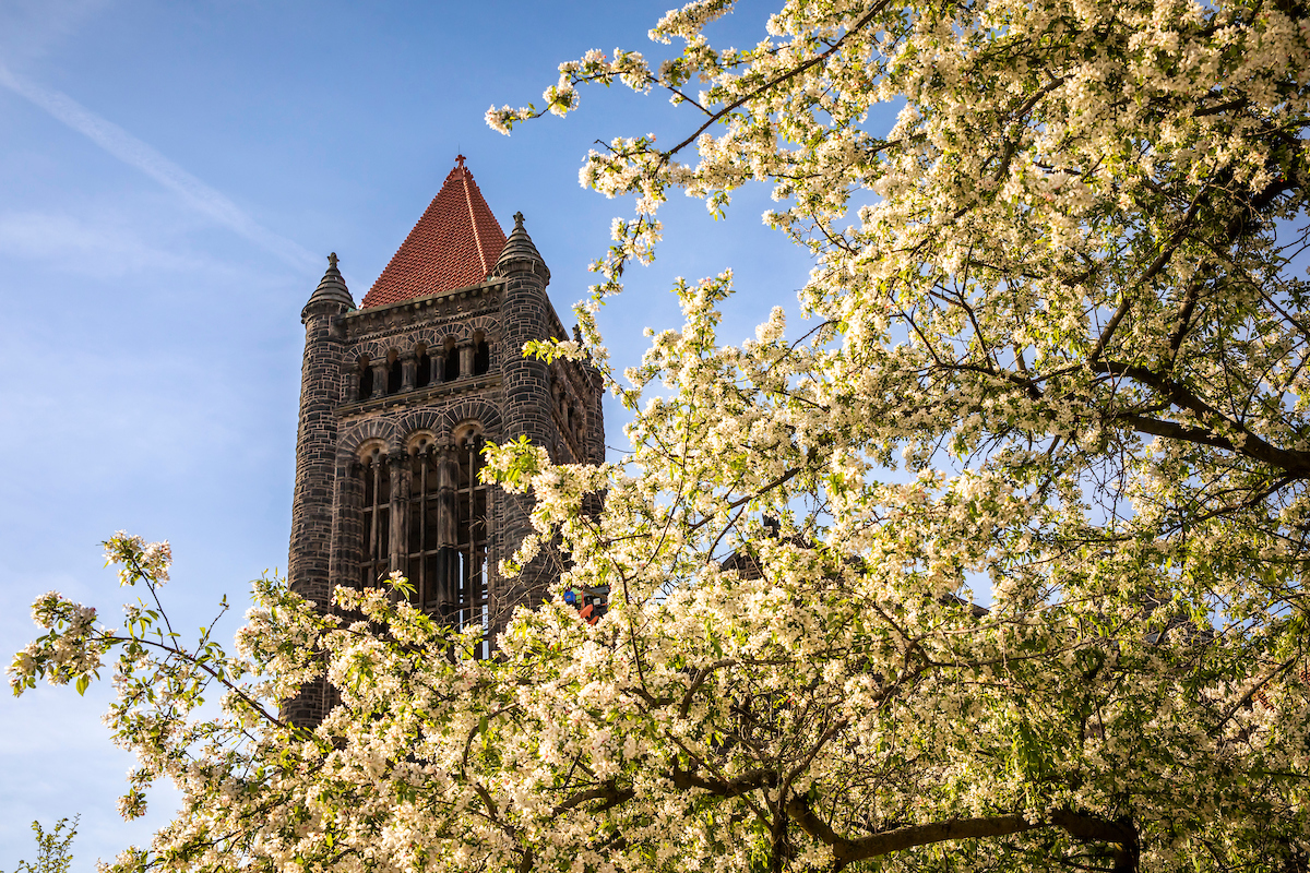 Campus - Spring - Season - Altgeld Hall - Altgeld Bell Tower