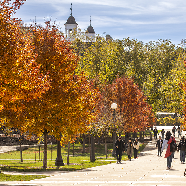 A scene of fall campus from the Bardeen Quad looking back to the Illini Union and Green Street.