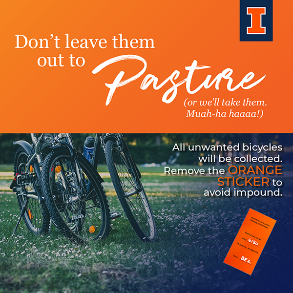 Don't leave them out to Pasture (or well take them. Muah-ha haaaa!) All unwanted bicycles will be collected. Remove the Orange Sticker to avoid impound.