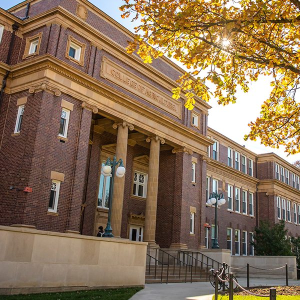 The facade of Davenport Hall that is facing the Main Quad
